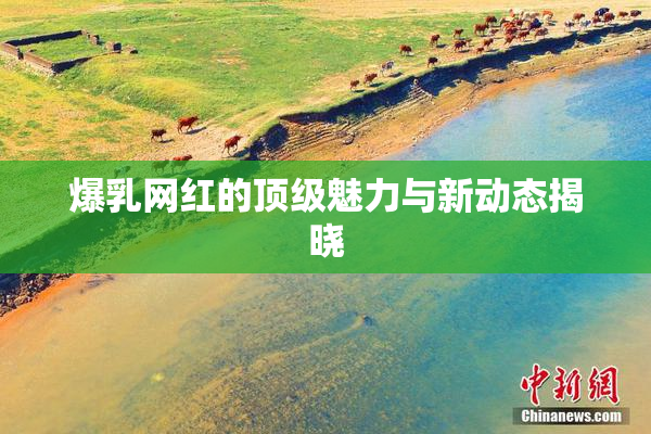 爆乳网红的顶级魅力与新动态揭晓