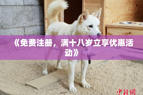 《免费注册，满十八岁立享优惠活动》