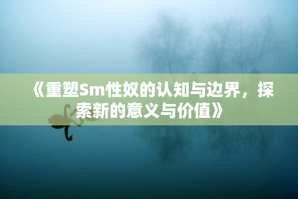 《重塑Sm性奴的认知与边界，探索新的意义与价值》