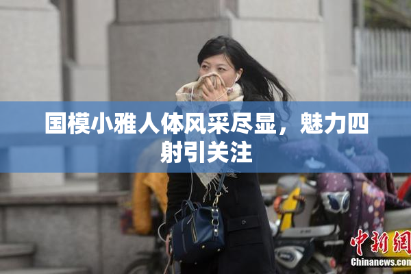 国模小雅人体风采尽显，魅力四射引关注