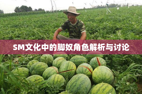 SM文化中的脚奴角色解析与讨论