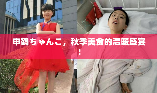 申鹤ちゃんこ，秋季美食的温暖盛宴！