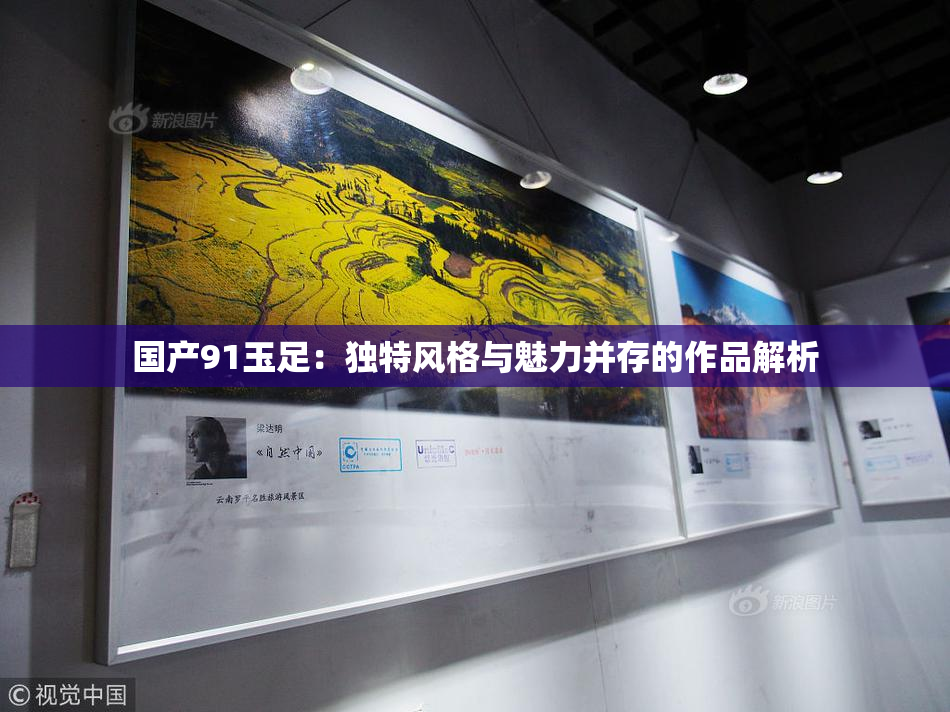 国产91玉足：独特风格与魅力并存的作品解析