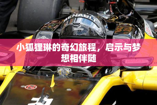 小狐狸琳的奇幻旅程，启示与梦想相伴随