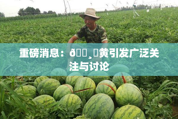 重磅消息：🌸‌黄引发广泛关注与讨论