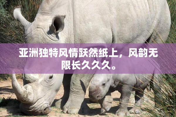 亚洲独特风情跃然纸上，风韵无限长久久久。