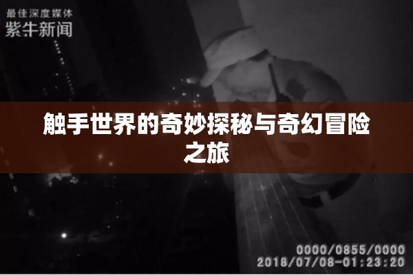 触手世界的奇妙探秘与奇幻冒险之旅