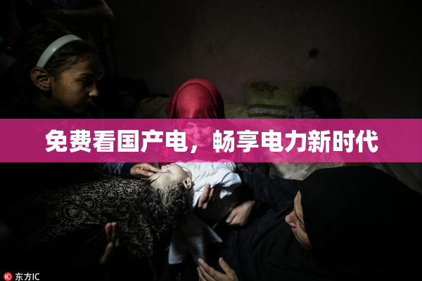 免费看国产电，畅享电力新时代