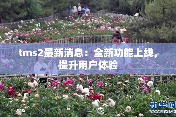 tms2最新消息：全新功能上线，提升用户体验