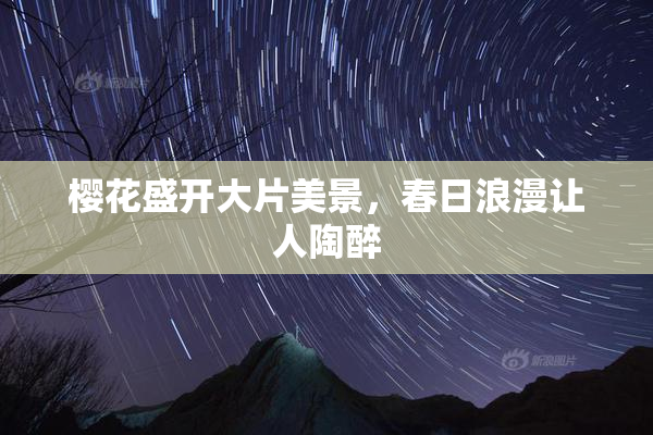 樱花盛开大片美景，春日浪漫让人陶醉