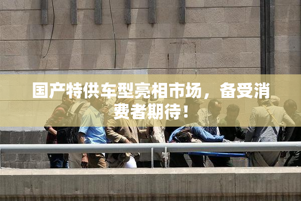 国产特供车型亮相市场，备受消费者期待！