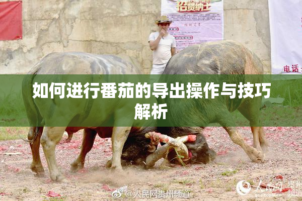 如何进行番茄的导出操作与技巧解析