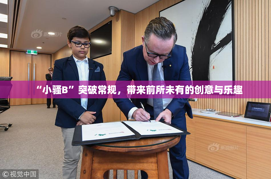 “小骚B”突破常规，带来前所未有的创意与乐趣