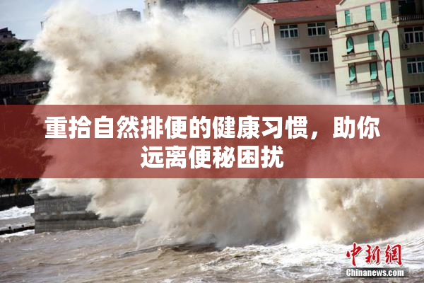 重拾自然排便的健康习惯，助你远离便秘困扰