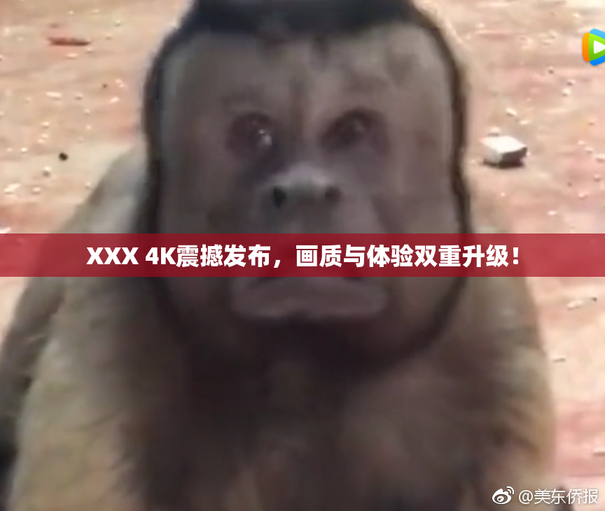 XXX 4K震撼发布，画质与体验双重升级！