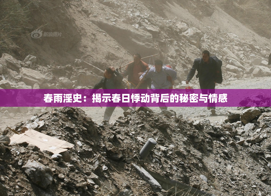 春雨淫史：揭示春日悸动背后的秘密与情感
