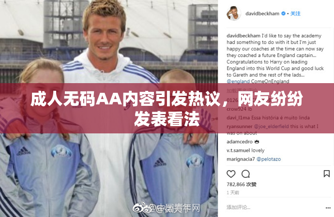成人无码AA内容引发热议，网友纷纷发表看法