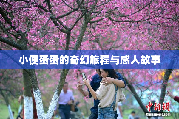 小便蛋蛋的奇幻旅程与感人故事