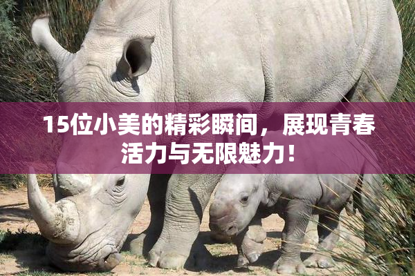 15位小美的精彩瞬间，展现青春活力与无限魅力！