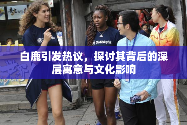 白鹿引发热议，探讨其背后的深层寓意与文化影响