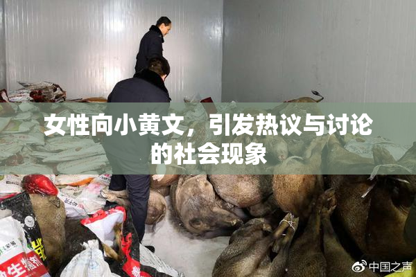 女性向小黄文，引发热议与讨论的社会现象