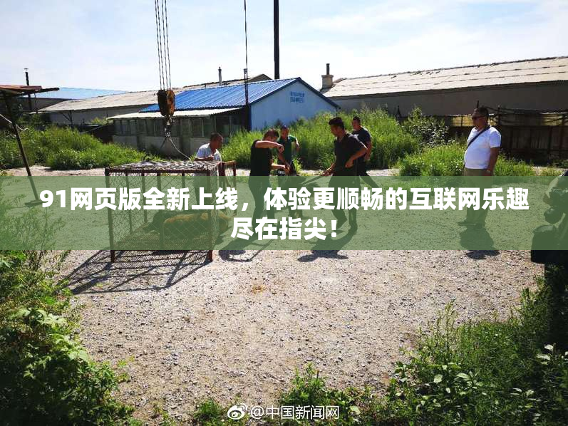 91网页版全新上线，体验更顺畅的互联网乐趣尽在指尖！