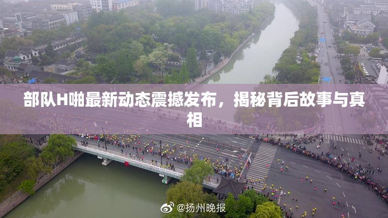部队H啪最新动态震撼发布，揭秘背后故事与真相