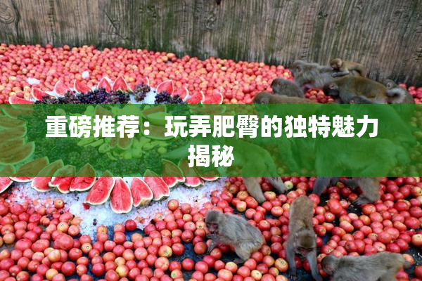 重磅推荐：玩弄肥臀的独特魅力揭秘