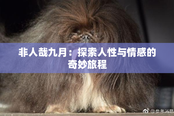 非人哉九月：探索人性与情感的奇妙旅程