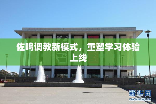 佐鸣调教新模式，重塑学习体验上线