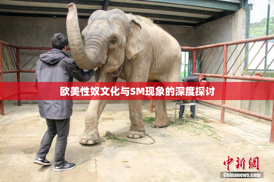 欧美性奴文化与SM现象的深度探讨