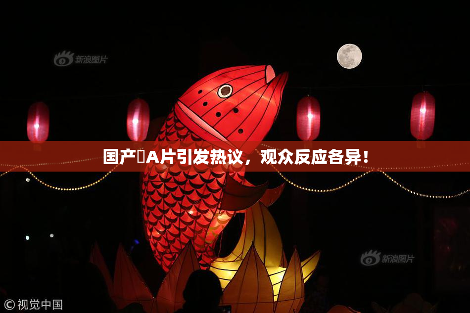 国产婬A片引发热议，观众反应各异！