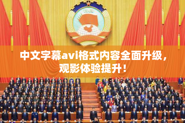 中文字幕avi格式内容全面升级，观影体验提升！
