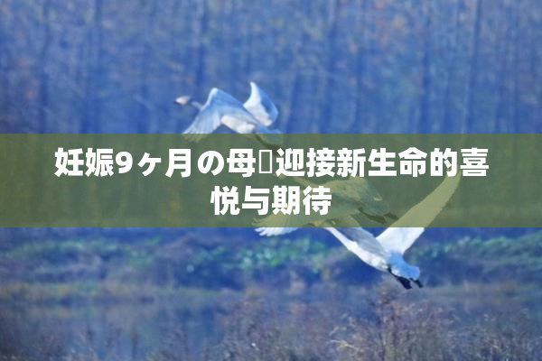 妊娠9ヶ月の母親迎接新生命的喜悦与期待