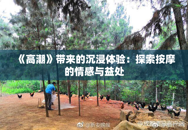 《高潮》带来的沉浸体验：探索按摩的情感与益处