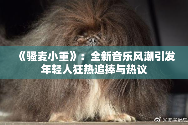 《骚麦小重》：全新音乐风潮引发年轻人狂热追捧与热议
