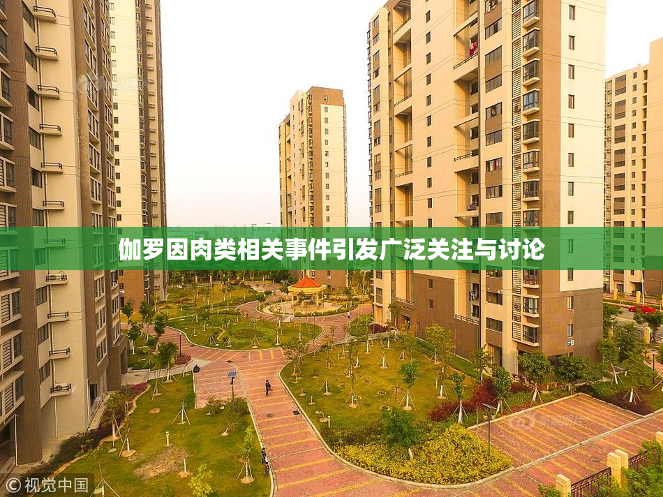 伽罗因肉类相关事件引发广泛关注与讨论