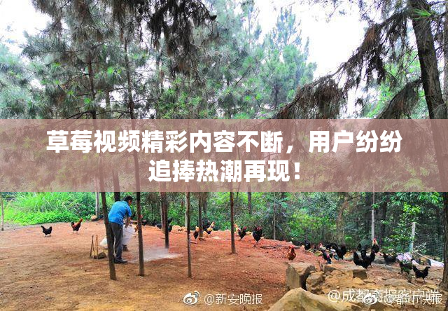 草莓视频精彩内容不断，用户纷纷追捧热潮再现！