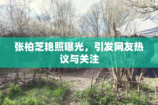张柏芝艳照曝光，引发网友热议与关注