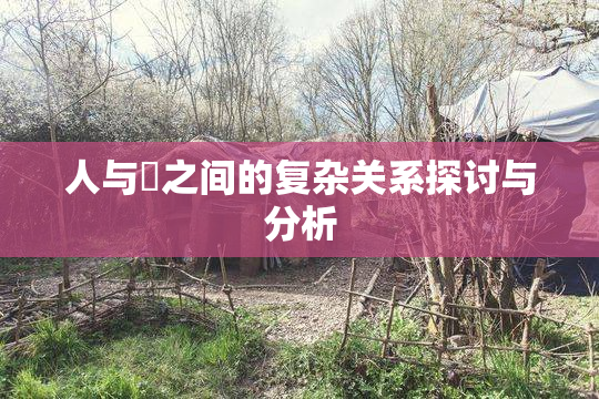 人与嘼之间的复杂关系探讨与分析
