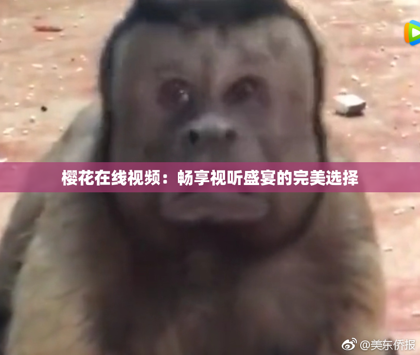 樱花在线视频：畅享视听盛宴的完美选择