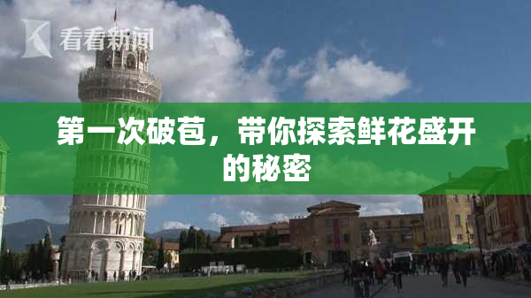 第一次破苞，带你探索鲜花盛开的秘密