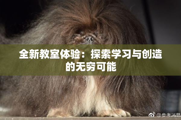 全新教室体验：探索学习与创造的无穷可能