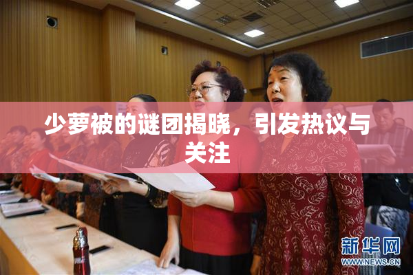 少萝被的谜团揭晓，引发热议与关注