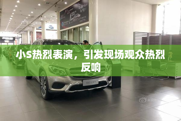 小S热烈表演，引发现场观众热烈反响