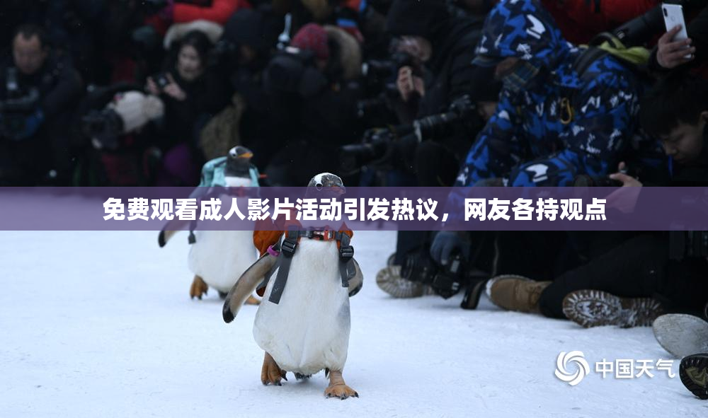 免费观看成人影片活动引发热议，网友各持观点