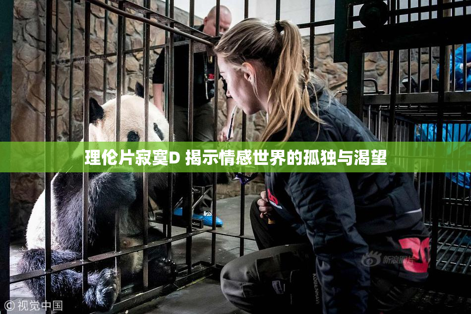理伦片寂寞D 揭示情感世界的孤独与渴望