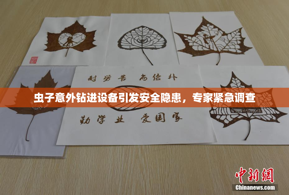 虫子意外钻进设备引发安全隐患，专家紧急调查