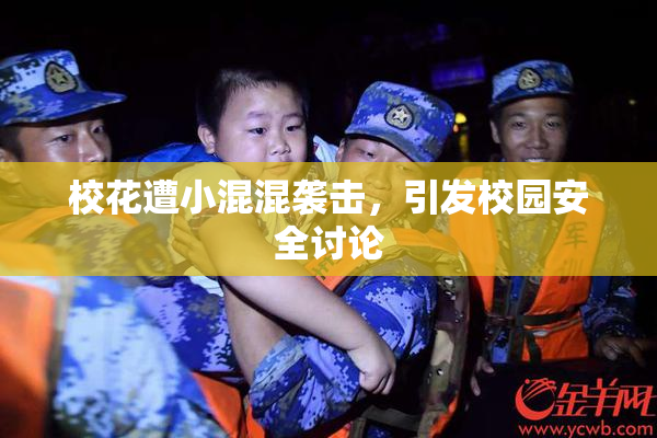 校花遭小混混袭击，引发校园安全讨论