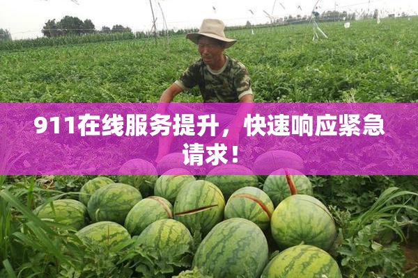 911在线服务提升，快速响应紧急请求！